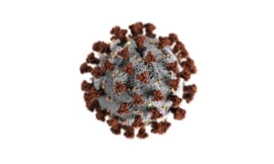 Antibody-Based Immunotherapies for Neurological Conditions Such as Alzheimer’s and Parkinson’s Diseases