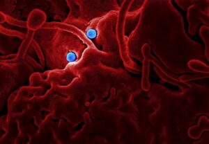 Challenges in Developing Broadly Neutralizing Antibodies Against Rapidly Mutating Viruses