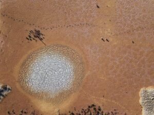 Challenges in the Production and Purification of Therapeutic Antibodies for Clinical Use