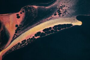 Cross-Reactivity of Antibodies and Its Implications for Diagnostic Accuracy and Specificity