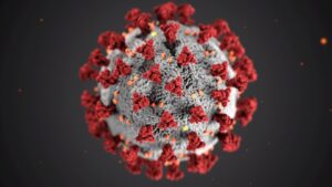 The Role of Antibody Isotypes in Mucosal Immunity and Barrier Surface Defense Systems