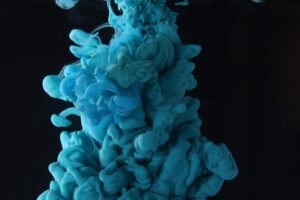 The Role of Fc Receptors in Antibody Function and Immune Cell Activation Mechanisms