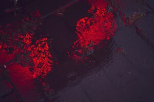 Understanding Somatic Hypermutation and Affinity Maturation in Antibody Gene Rearrangement